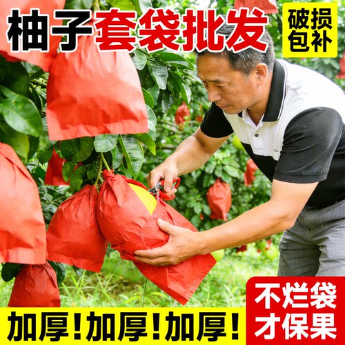 【三层加厚】柚子专用套袋