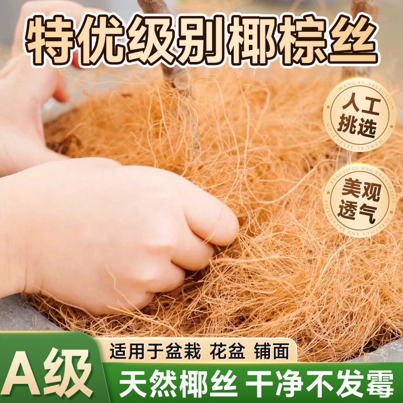 园艺椰丝海南天然椰棕丝盆栽绿植物花盆景填充物装饰铺盖面草棕榈,鲜花速递/花卉仿真/绿植园艺,其它园艺用品,淘宝优惠券,粉丝福利购,淘宝优惠卷