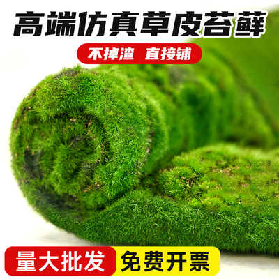 高端仿真苔藓草皮装饰造景假绿植