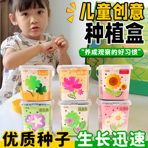 儿童种植小盆栽植物生长观察套装