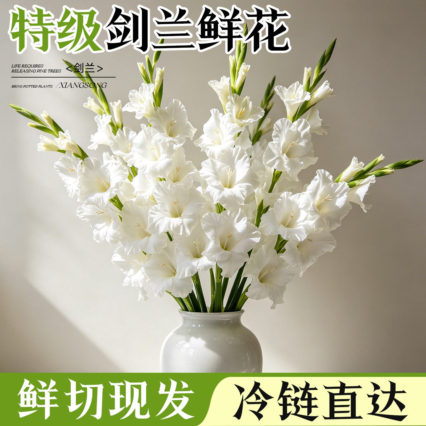 剑兰鲜花云南基地直发唐菖蒲家用鲜切插花花卉水养真花花束次日达