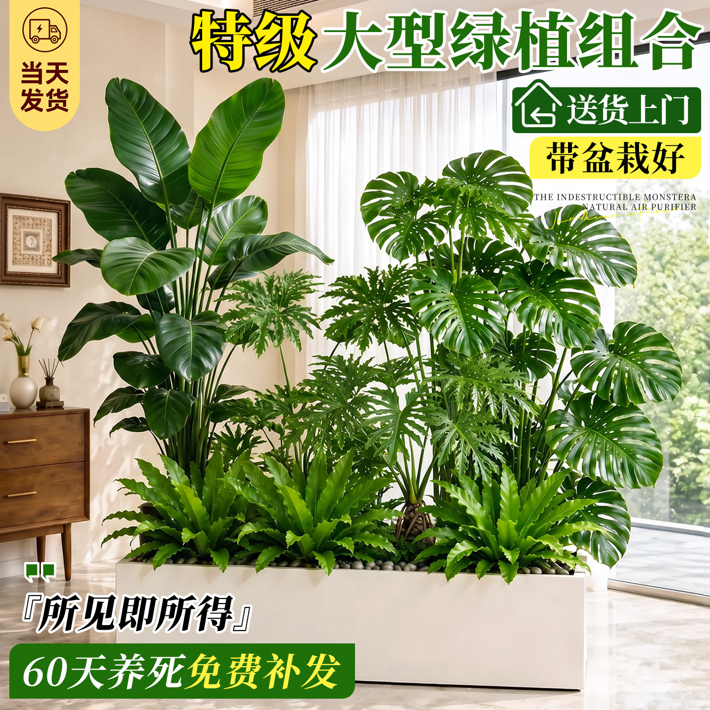 【送货上门】大型绿植造景组合