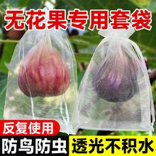 无花果套袋防虫防鸟神器水果保护袋果蔬袋葡萄桃子梨子专用纱网袋