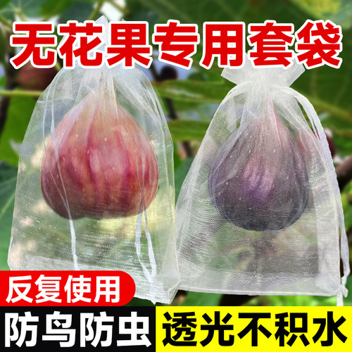 无花果套袋防鸟虫神器专用纱网袋