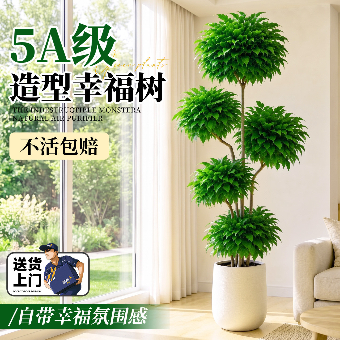 幸福树客厅大盆栽绿植室内办公室大型落地高级平安树四季常青好养