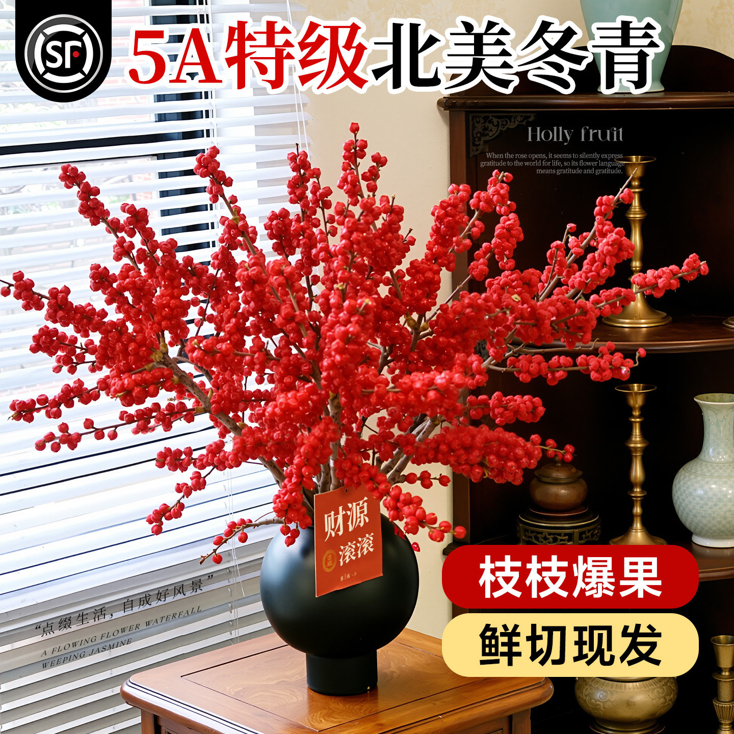 5A级北美冬青爆果发货不活包补