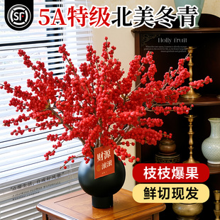 北美冬青红果鲜枝银柳年宵花卉绿植室内水培植物鲜花切枝盆栽真花