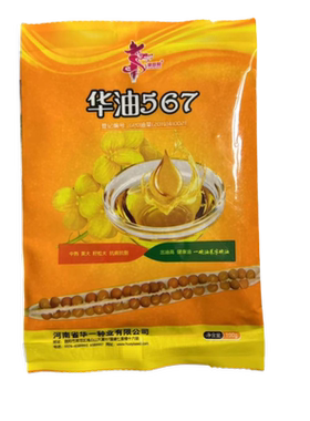 【量大优惠】华油567油菜种黄籽