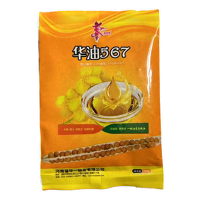 华油567油菜种子高产油菜籽种批发华油999种籽纯黄杂交种四季