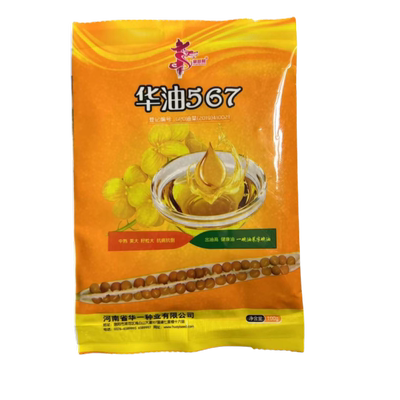 【量大优惠】华油567油菜种黄籽