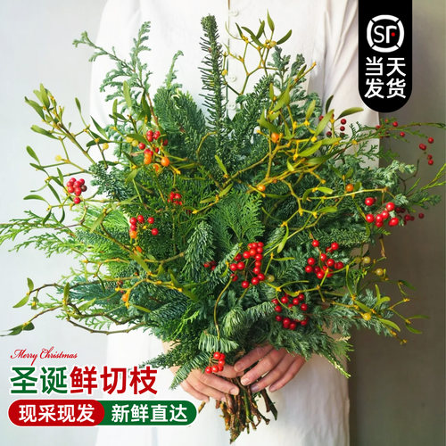 【圣诞鲜切花束】新鲜直达