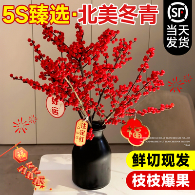北美冬青红果水培鲜花新年盆栽室内鲜切银柳真花鲜枝年宵花卉水养