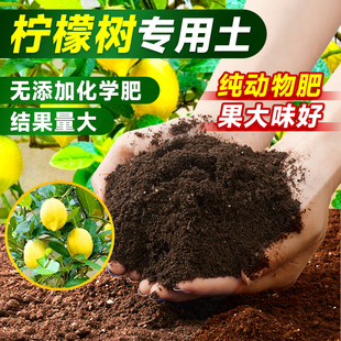 香水柠檬树专用土营养土盆栽土壤果树专用土泥土肥料专用肥种植土