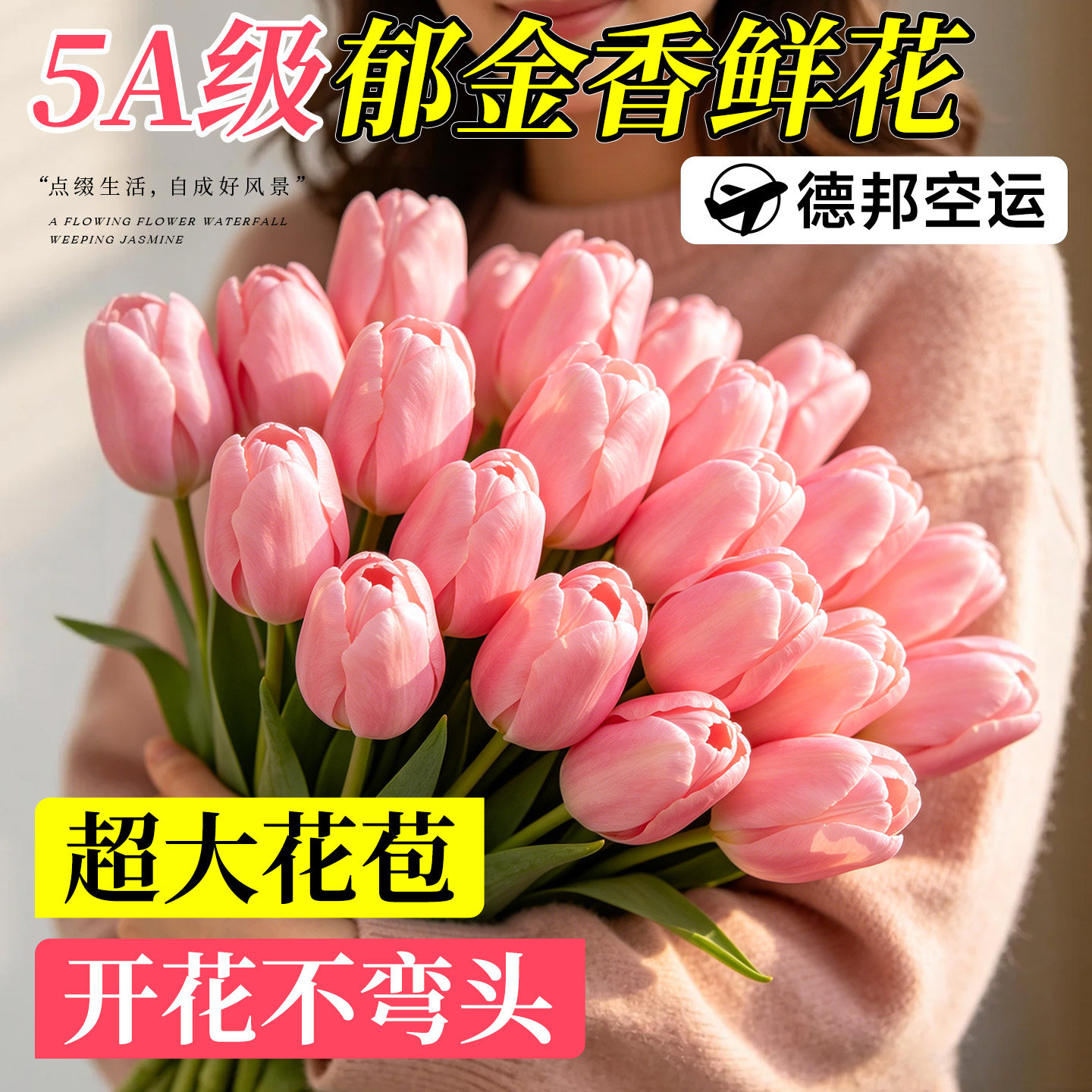 粉色郁金香鲜花鲜切真花云南直发应季水养水培花卉花束家用插花