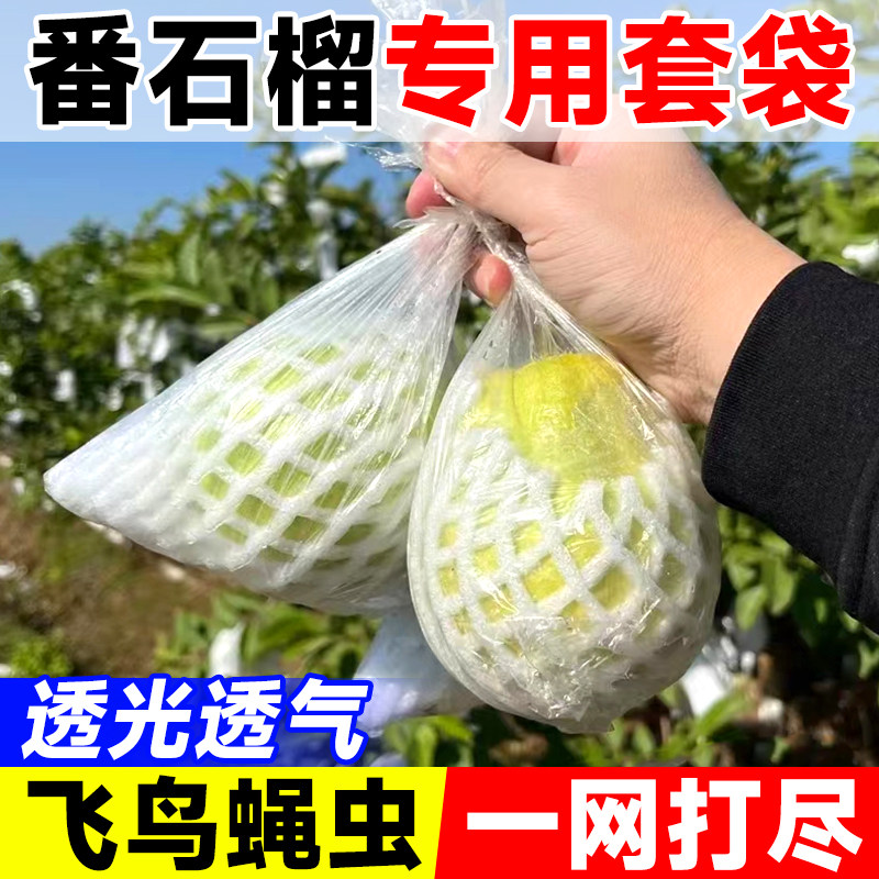 番石榴专用套袋芭乐水果套袋防虫防鸟网袋保护袋子泡沫网纸袋批发图片