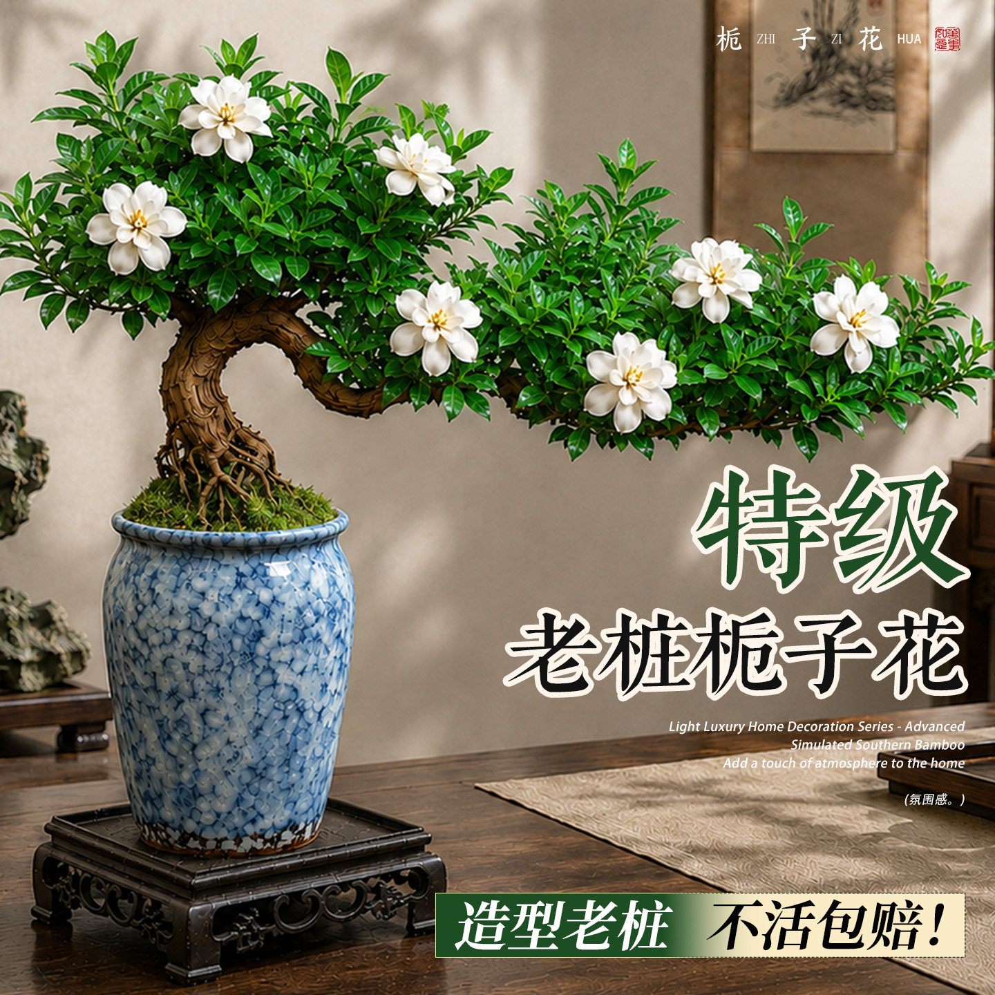老桩栀子花飘枝造型盆景禅意盆栽图片