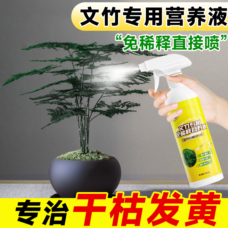 文竹免稀释专用营养液肥料