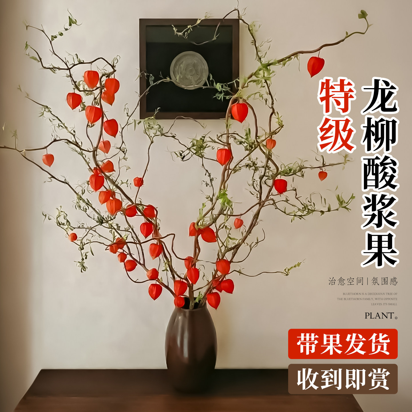 龙柳酸浆果鲜切花云南直发切枝四季高级感侘寂风室内水培植物好养,鲜花速递/花卉仿真/绿植园艺,花材,淘宝优惠券,粉丝福利购,淘宝优惠卷