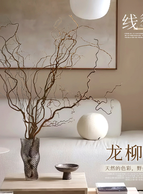 龙柳枝条树枝树干装饰室内高级感侘寂风天然真干花摆件插花干鲜枝