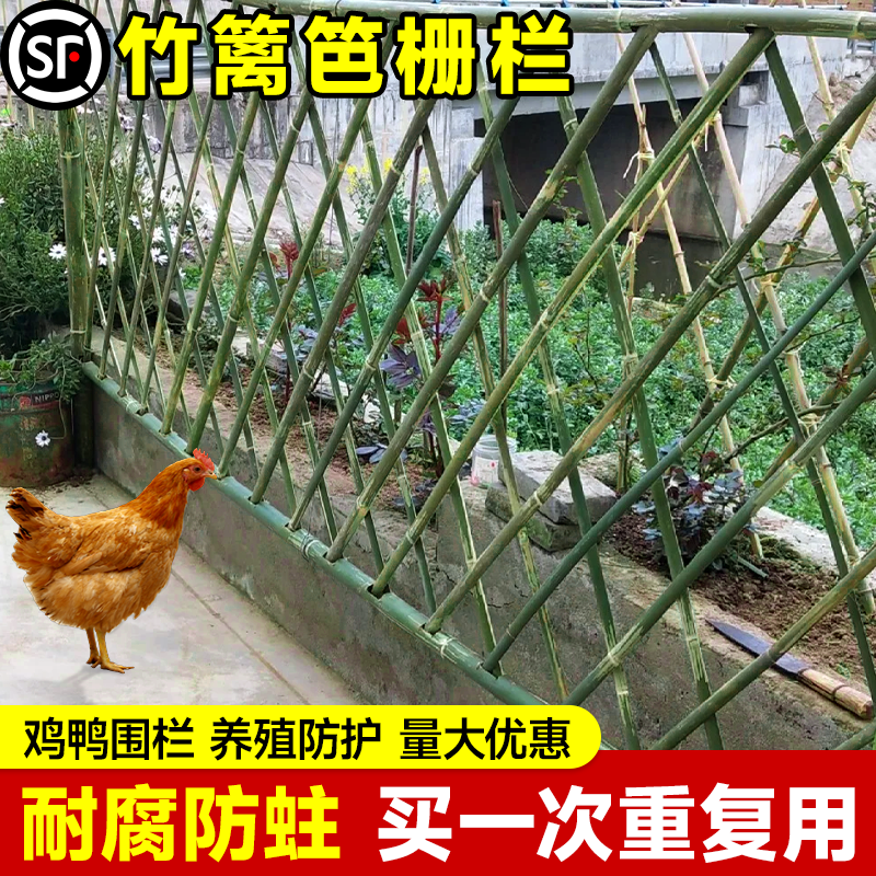 竹篱笆栅栏户外菜地花园庭院养鸡鸭隔断挡墙伸缩围栏农村小院栅栏