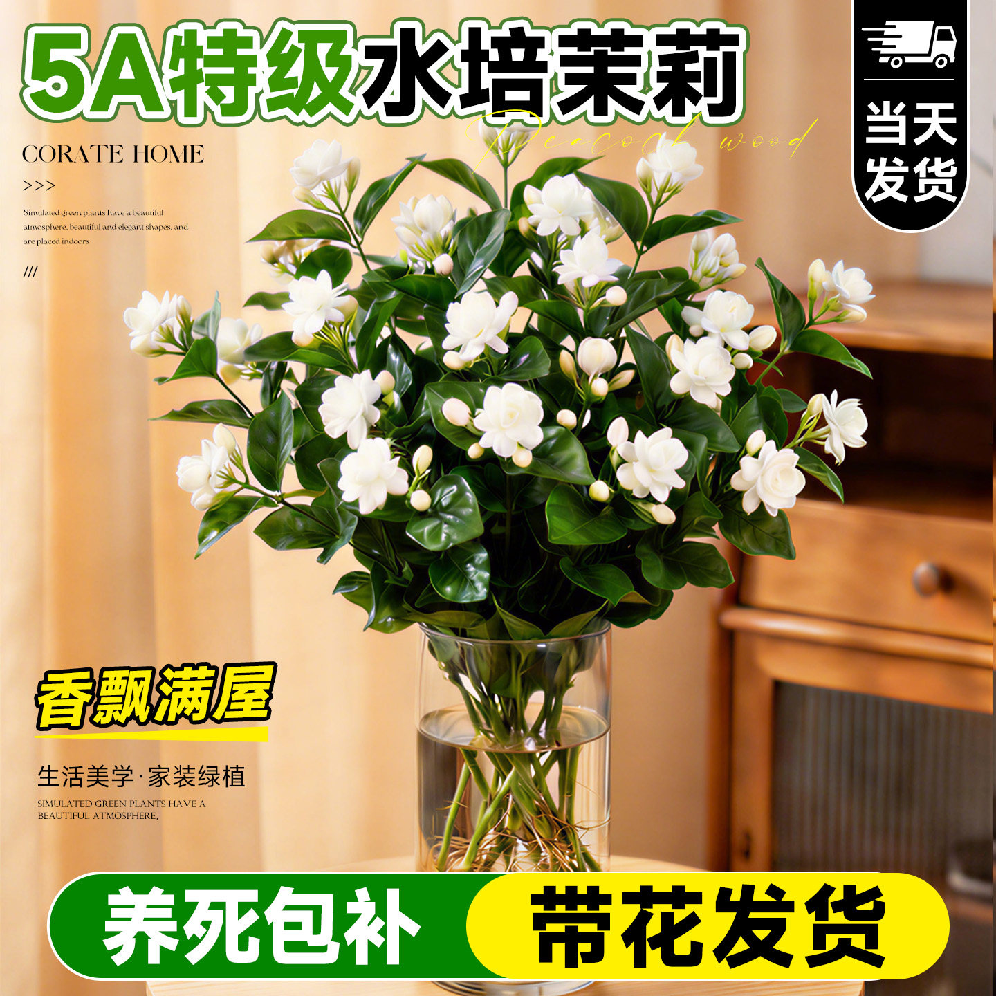 水培茉莉花盆栽带花苞花卉绿植办公室内桌面好养懒人水养鲜花植物