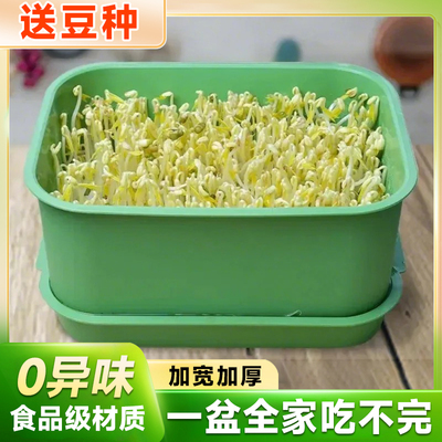 2024豆芽发芽神器一盆全家吃不完