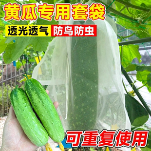 黄瓜套袋果袋防虫防鸟葡萄专用袋苦瓜尼龙网纱网套袋神器透气透光