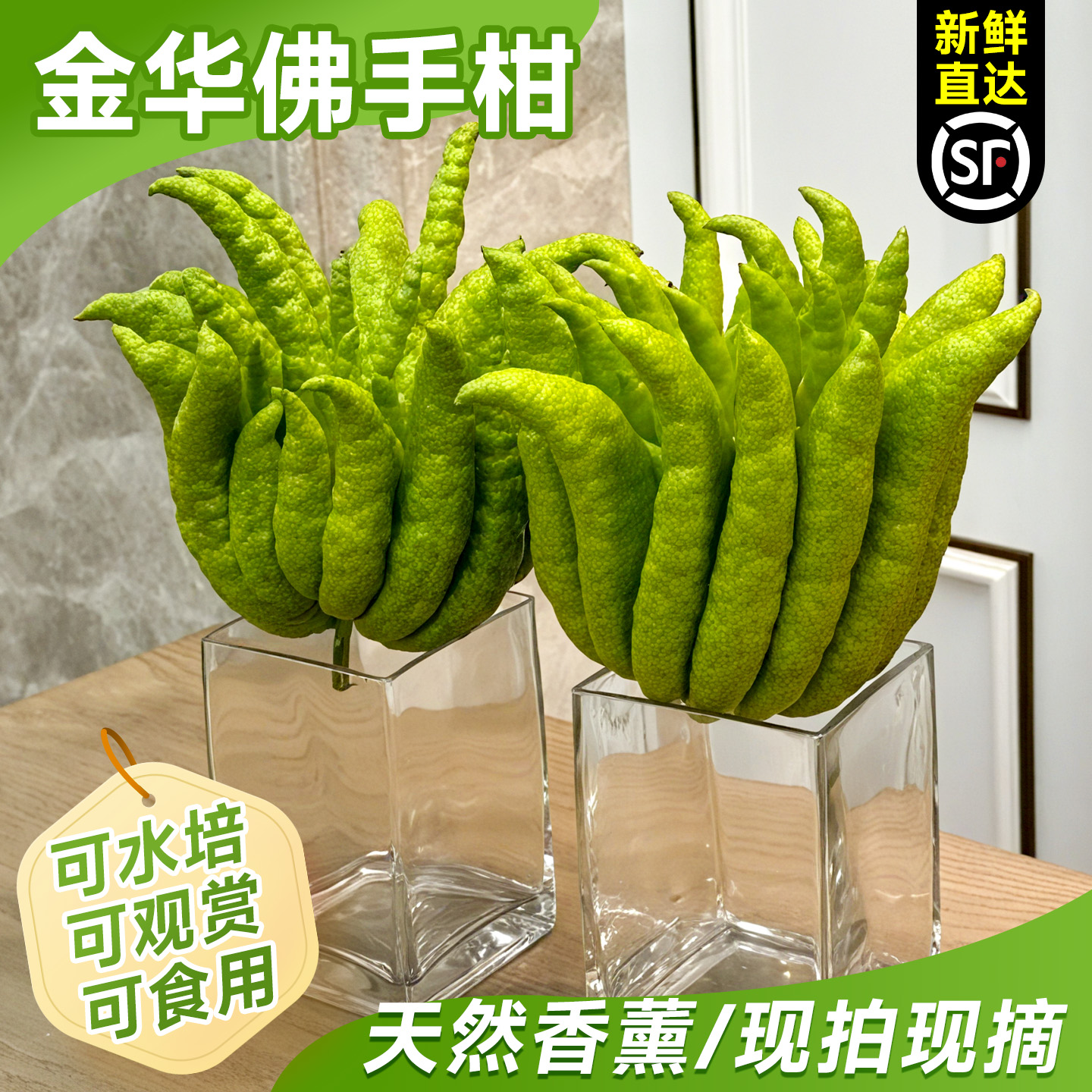 佛手柑带枝水培绿植物室内水养佛手瓜盆栽观赏摆件闻香薰现摘新鲜