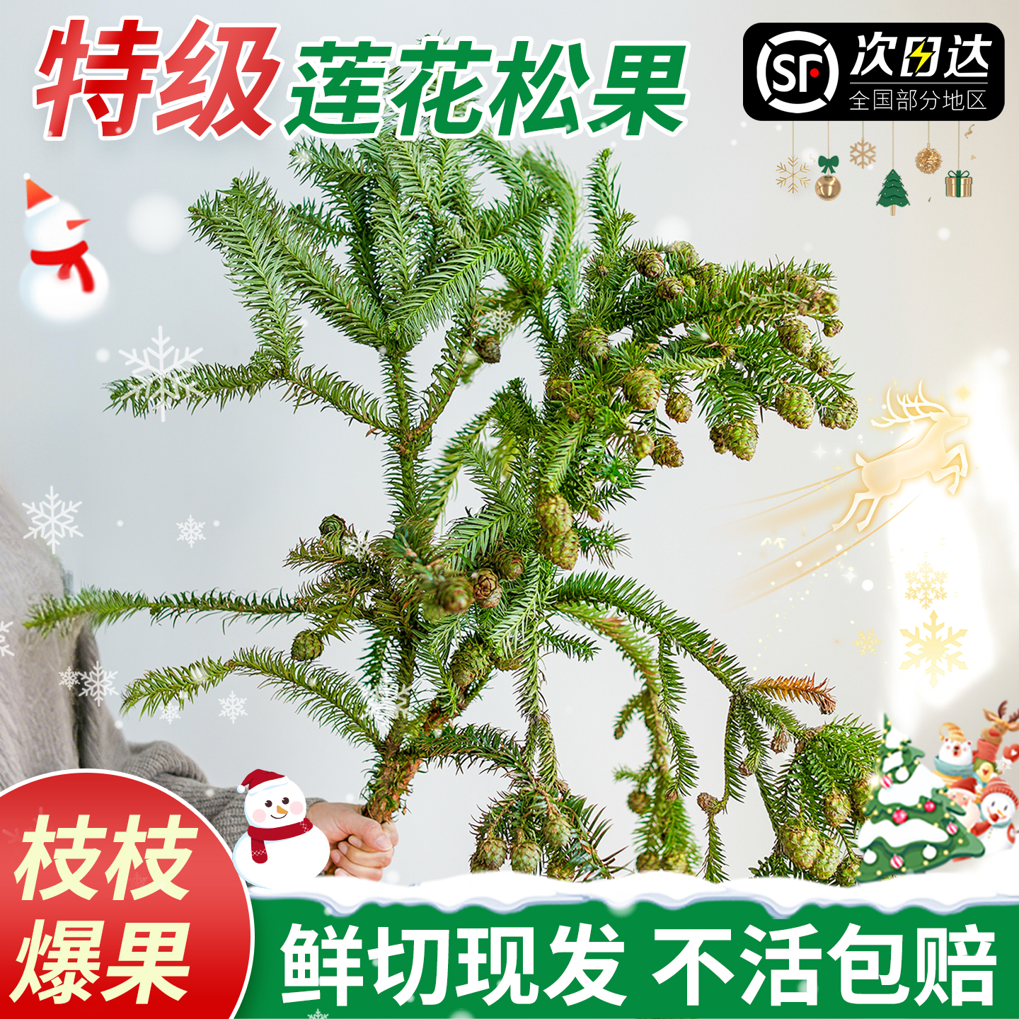 圣诞花束莲花松果圣诞节装饰礼物