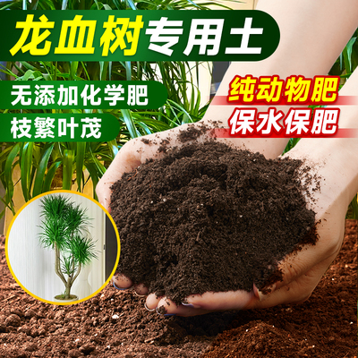 龙血树专用土龙须树盆栽种植土