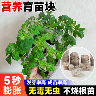 育苗专用营养土基质阳台蔬菜花卉绿植扦插育苗发芽神器专用泥炭土