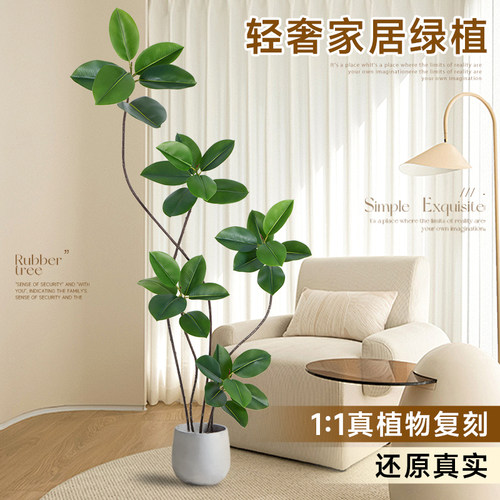 彷真绿色植物橡皮树室内客厅大盆栽彷生假绿植楼梯下造景装饰落地