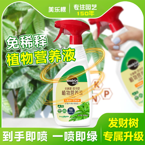 发财树专用营养液免稀释