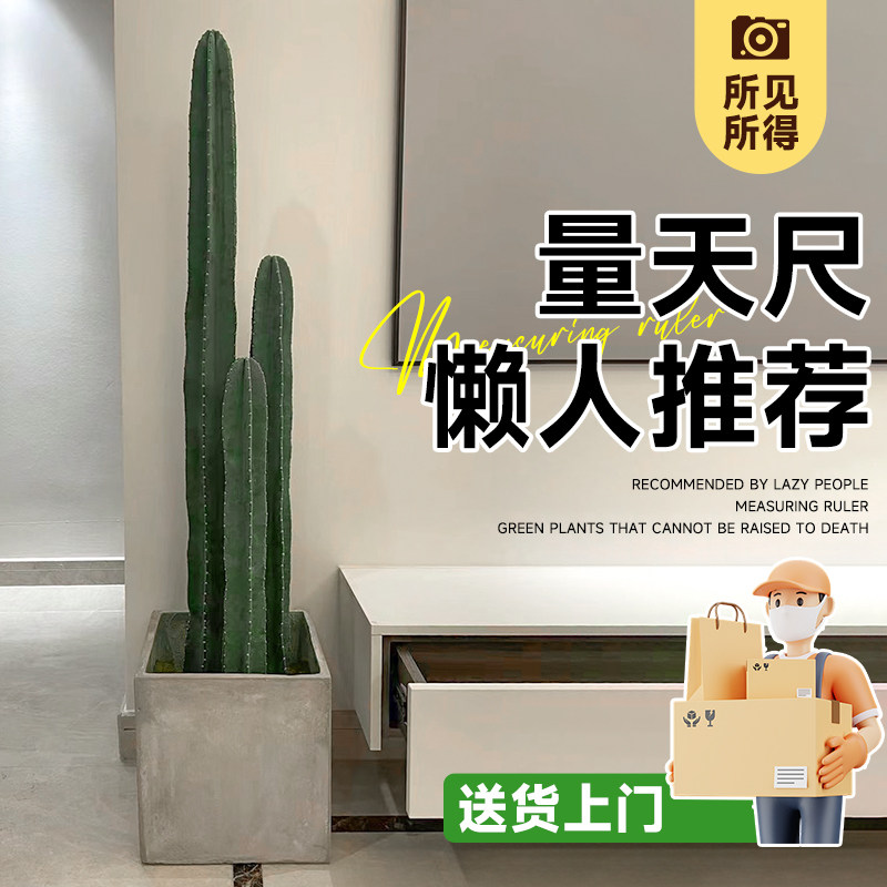 量天尺仙人柱盆栽大型绿植室内客厅网红仙人掌落地大号多肉禄植物,鲜花速递/花卉仿真/绿植园艺,大型绿植/成品组合盆栽,淘宝优惠券,粉丝福利购,淘宝优惠卷