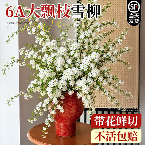 【特级带花】雪柳鲜枝水培绿植