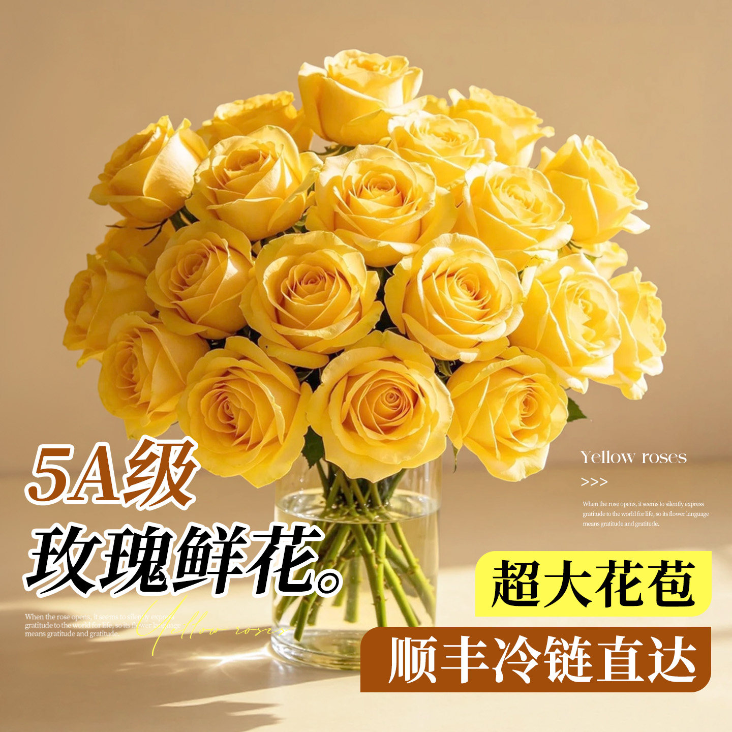 5A级玫瑰鲜花超大花苞冷链直达图片