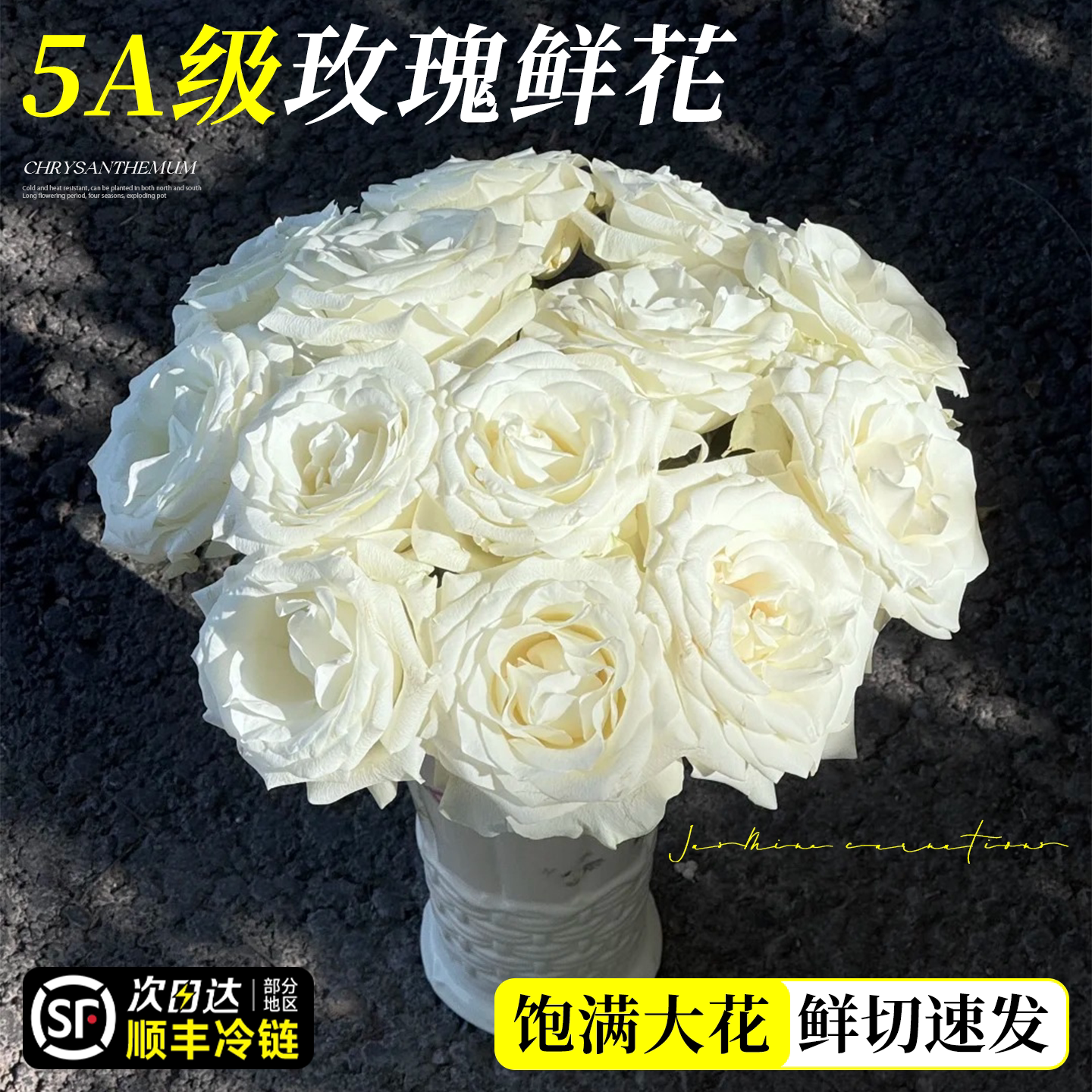 5A级玫瑰花鲜花云南基地直发图片