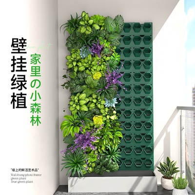 植物墙室内阳台水培水养绿植