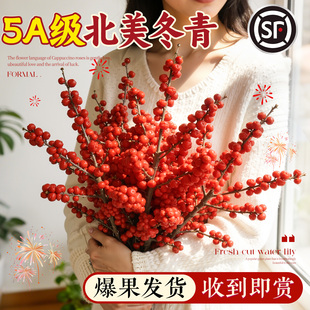 北美冬青红果真花室内水培绿植鲜切花冬季年宵花卉鲜花家用插花材