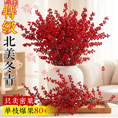 【只卖密果】5A特级北美冬青