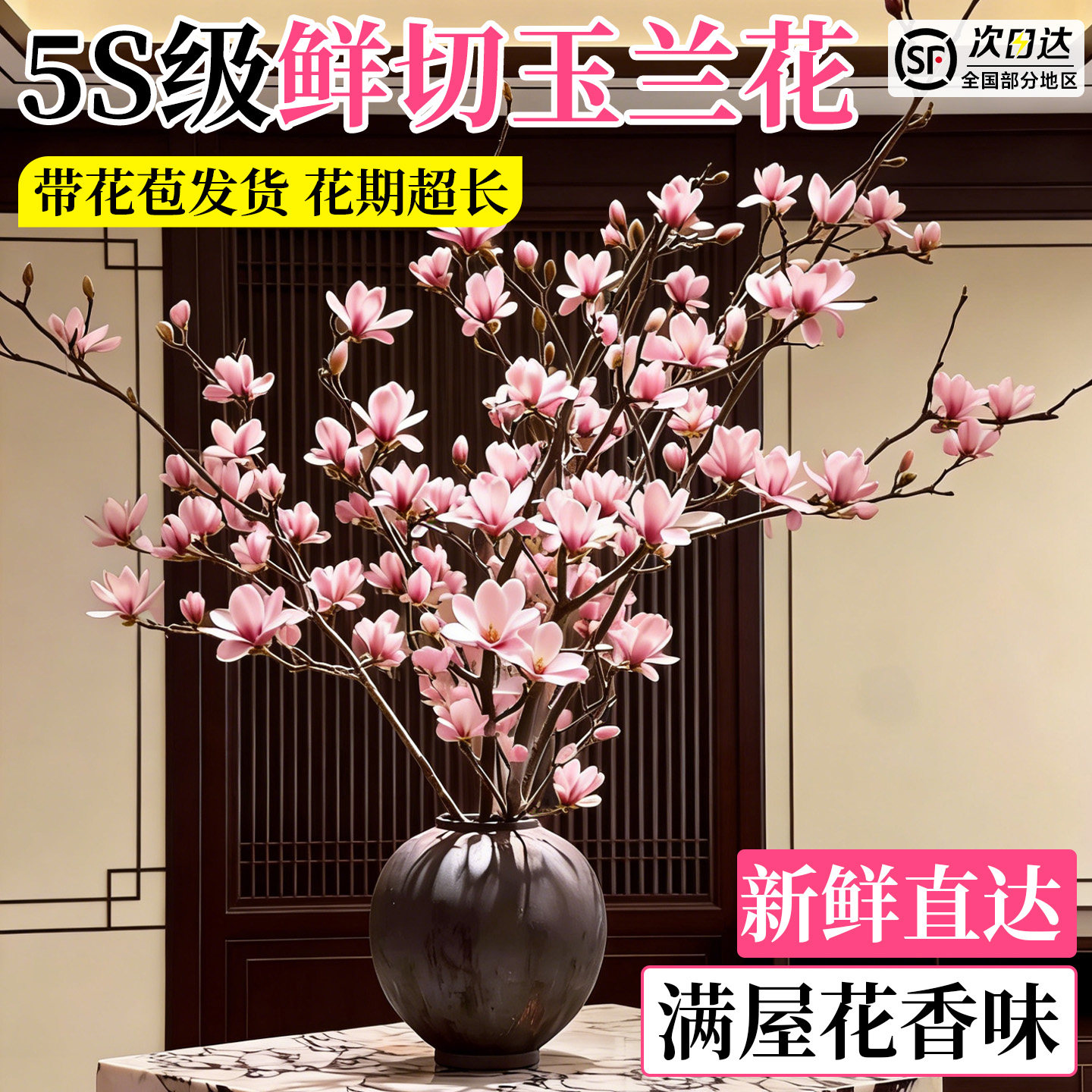 水培玉兰鲜切花遇水爆花不活包赔