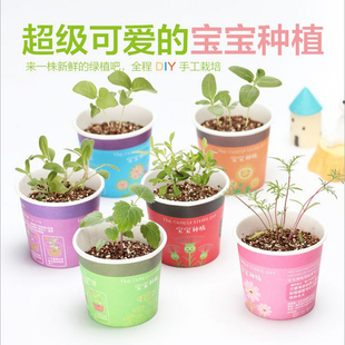 儿童节活动奖品小朋友生日礼物伴手礼创意幼儿园全班DIY种植盆栽