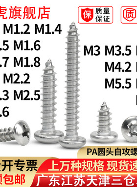 304不锈钢十字圆头自攻螺丝钉加长盘头小螺钉PA1M1.7M2M3M4M5M6M8