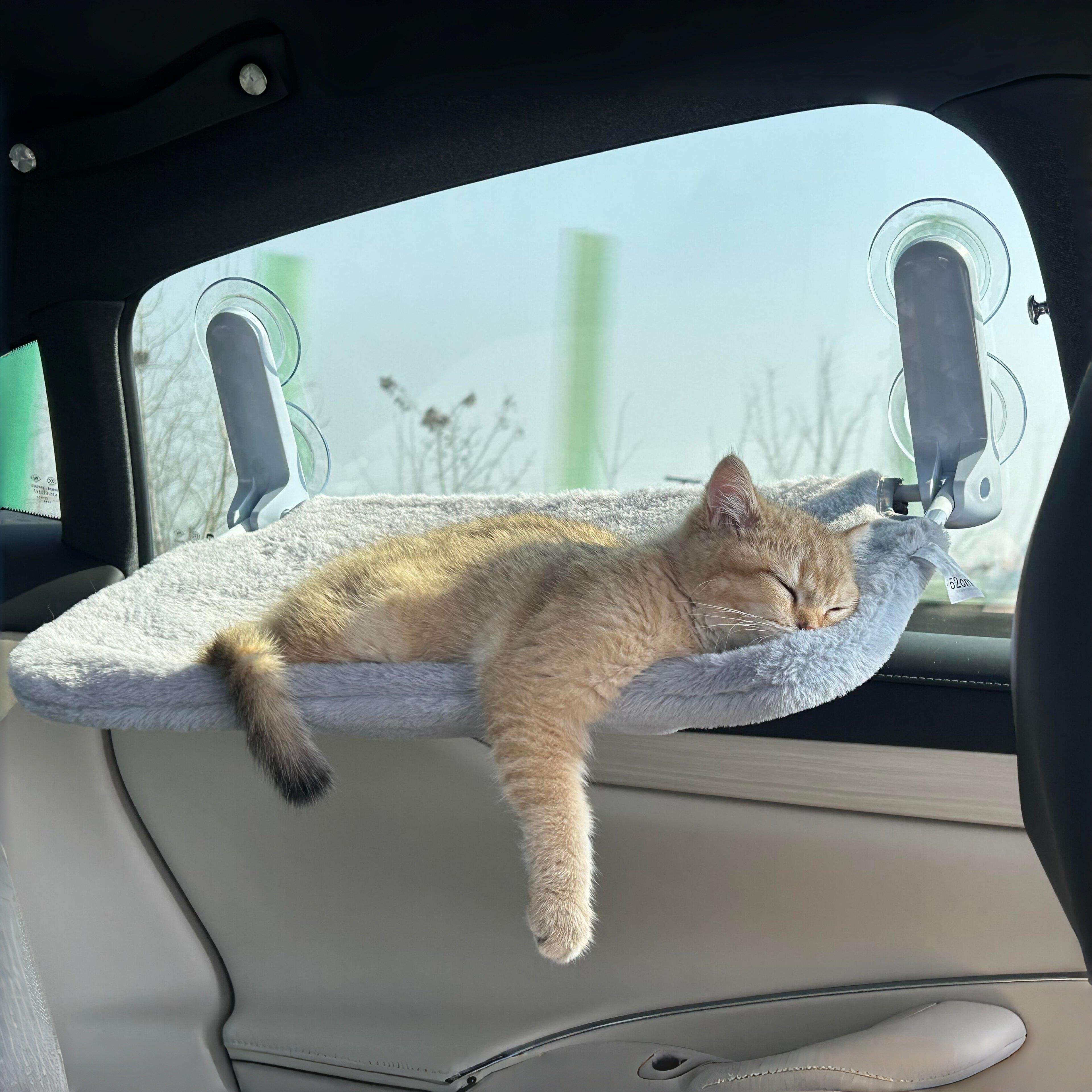 猫咪防晕车吊床吸盘悬挂式可折叠猫窝强力承重猫床自驾车载宠物床