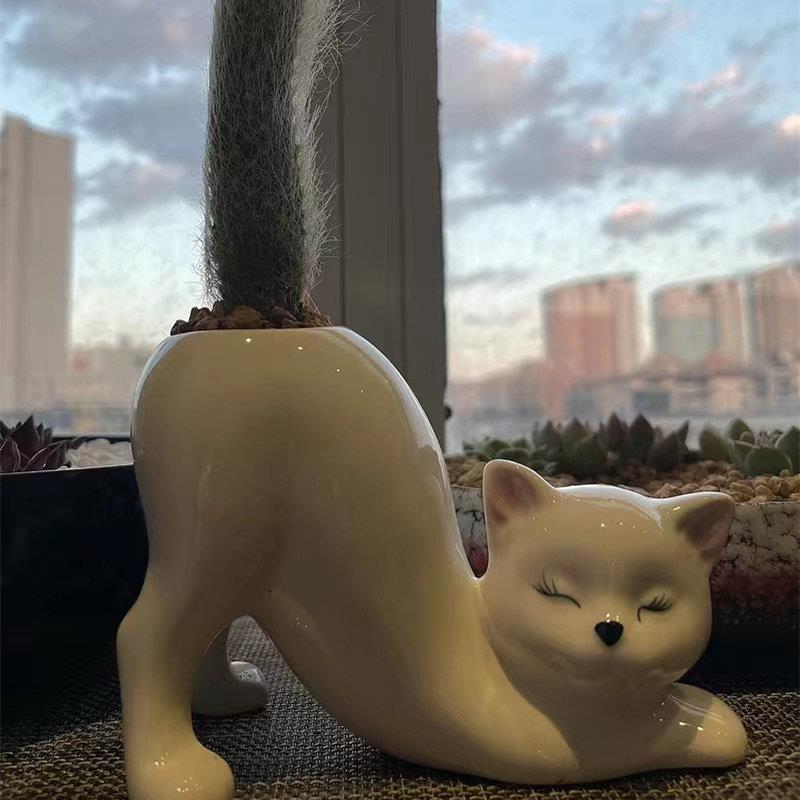 猫咪尾巴盆栽家用多肉猴尾柱仙人掌花盆可爱治愈客厅绿植装饰摆饰