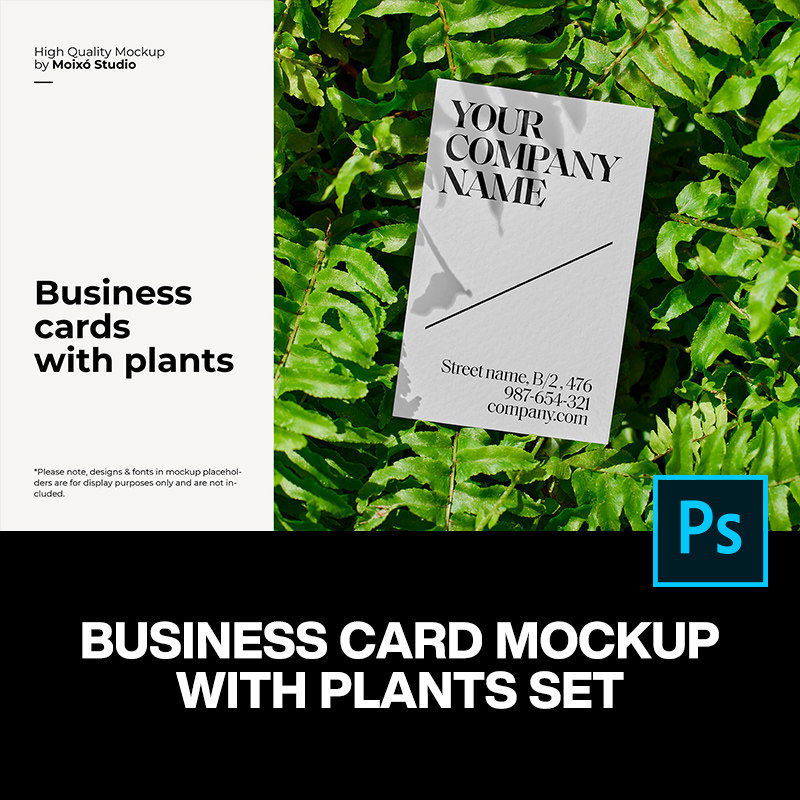 9款文艺自然绿叶植物光影名片卡片设计ps样机素材户外展示效果图