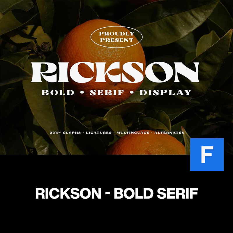 rickson时尚复古酸性逆反差粗体字海报杂志封面标题装饰英文字体