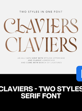 Claviers优雅时尚品牌商标海报婚礼请柬邀请函标题衬线英文字体包