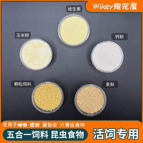蟑螂五合一饲料wikey爬宠屋