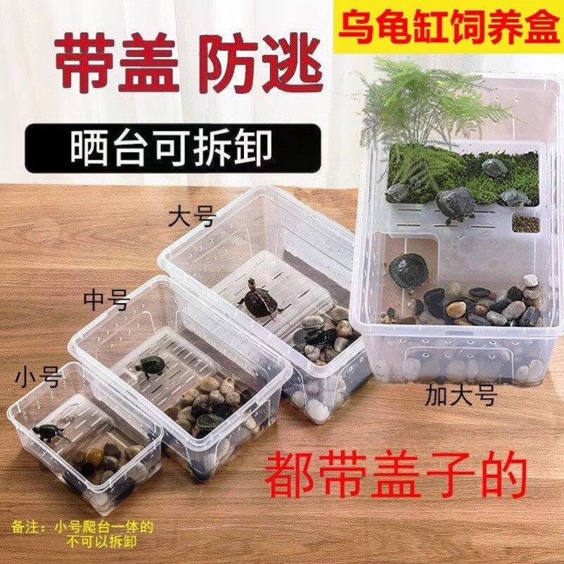爬宠饲养盒两栖箱小乌龟缸守宫角蛙盒带晒台塑料乌龟盒角蛙饲养箱